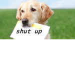 puppies?