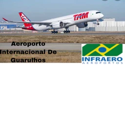 (voltamos)AEROPORTO INTERNACIONAL DE GUARULHOS icon