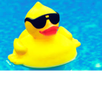 Cool Quacks