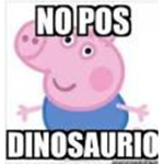 mi pan :v