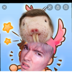 Flam-go Mole Rats