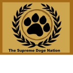 Doge Nation squad