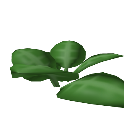 Forest Plant
