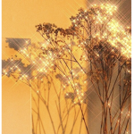 _dream_benas_