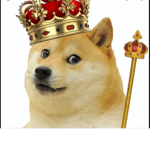 King doggo