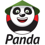 🐼 The Epic Panda Squad 🐼