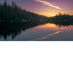 Lakeside Forest Walk [NEW!]