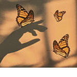 Butterfly clothes!