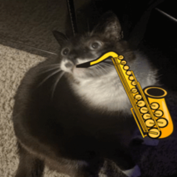 GENSCAT CONCERT (REAL)