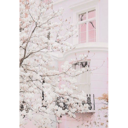 Sakura city ☁️🍭