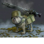 War dog giveaway