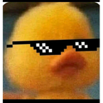 Duck'sAreHere