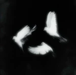 تيم بنفسجي Group Thumbnail
