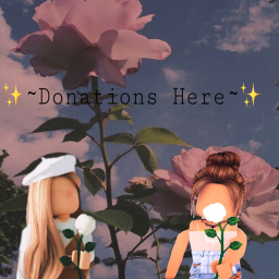 ✨~Donations Here~✨