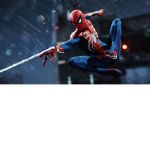 the spiders home