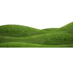 Grass hills