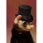 Ferret in boots