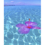 Anna_Dreams