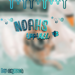 noahs apparel