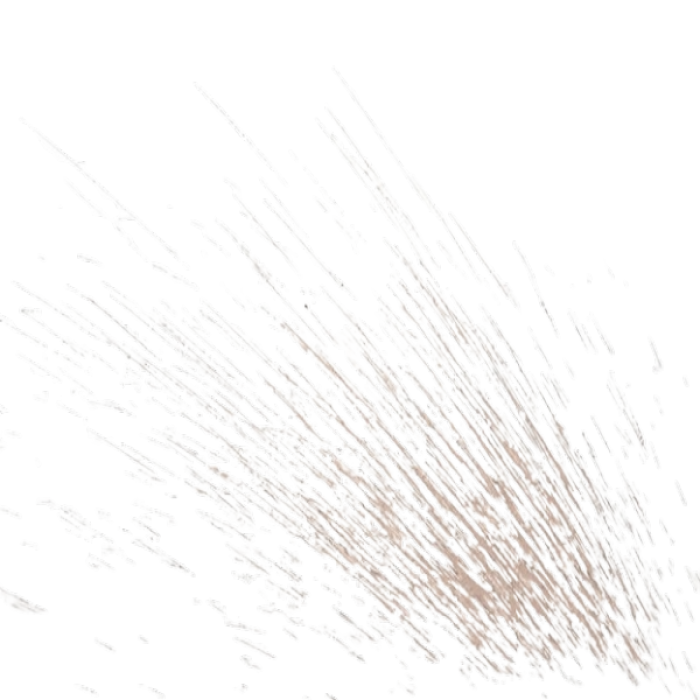 dirt_only_desaturated Roblox decal