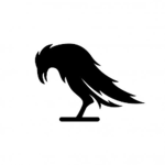 Black Raven Company