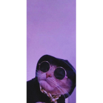 LacosteTn