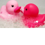 locked by ducks
