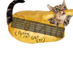 potatocat party kitten and animals
