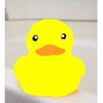Duckie Town