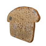 Moldy Slice of Bread