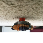 Trayplayz on Roblox