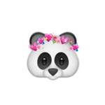 Panda Homies