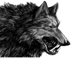 Wolf pack fan group