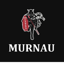MURNAU, Urban Combat Simulation