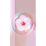 Bxbliie