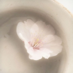 Circle of Blossoms