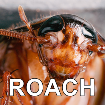 ROACH (SKINS)