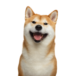 Shibe Bois