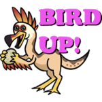 BIRD UP