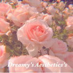 Dreamy’s Aesthetic’s