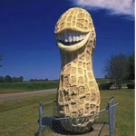 The Bean Base