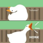 Goose Club!