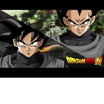 Dragon ball Fan Club:D