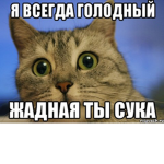 Russian Band