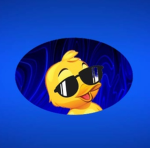 Mr Duck community