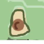 ~The Avocado~