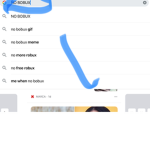 NO BOBUX FOR YOU YOU GET NO BOBUX