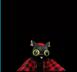 Romamamama