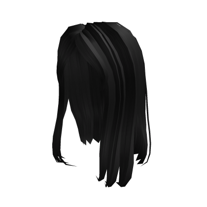 Basic long hair Roblox item