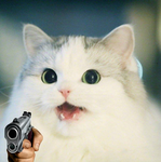 violent cats